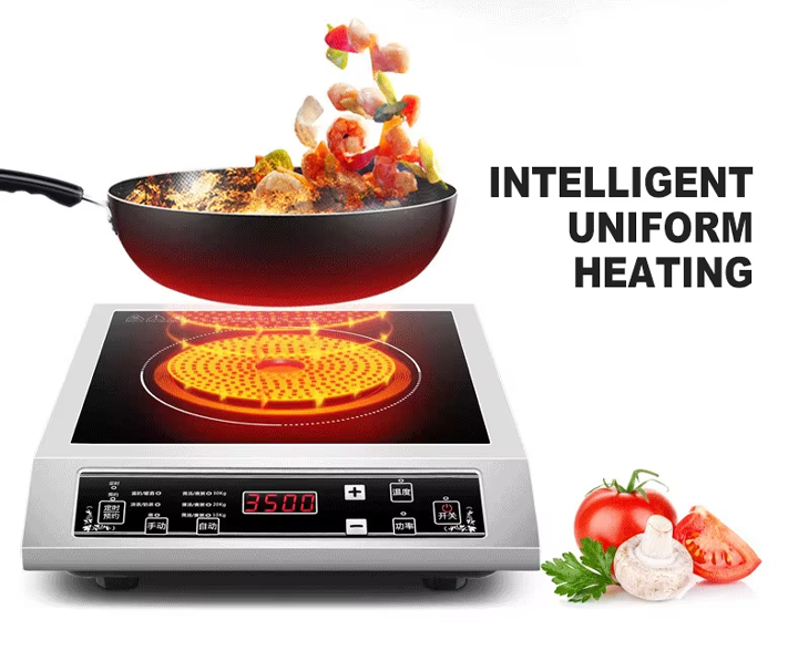 BẾP ĐIỆN TỪ  TYRKE-3500