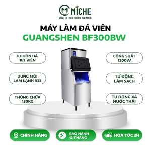 MÁY LÀM ĐÁ VIÊN GUANGSHEN BF300BW