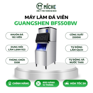 MÁY LÀM ĐÁ VIÊN GUANGSHEN BF550BW